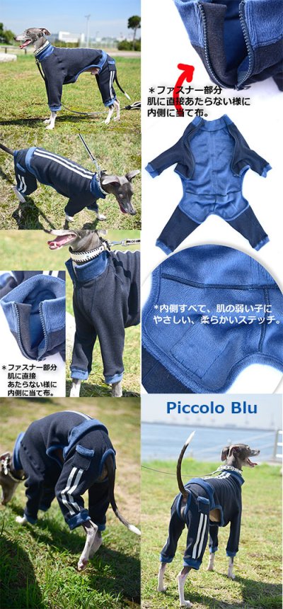 画像3: ライン入ロンパース　イタリアングレーハウンド Piccolo Blu