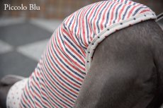 画像5:  トリコロール　星柄カットソー#tricolore トリコロール　Tシャツ　 Piccolo Blu オリジナル (5)