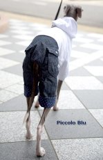 画像8: トレーナー/デニム　ロンパース　イタリアングレーハウンド Piccolo Blu　オリジナル (8)